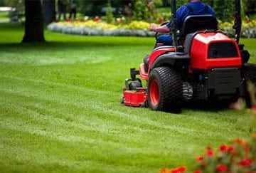 Košenje dvorišta i održavanje istih